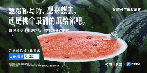 娱乐吃瓜文案怎么弄的